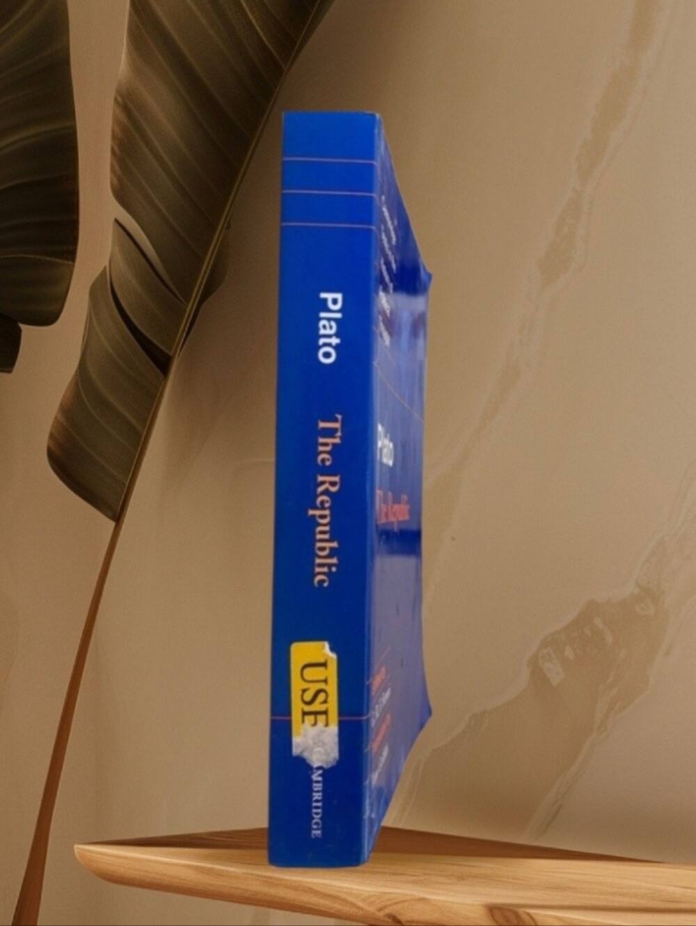Plato the Republic Book